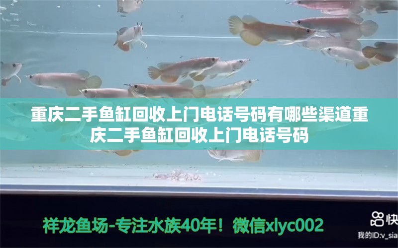 重慶二手魚缸回收上門電話號碼有哪些渠道重慶二手魚缸回收上門電話號碼 養(yǎng)魚知識