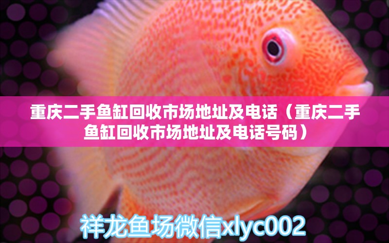 重慶二手魚(yú)缸回收市場(chǎng)地址及電話（重慶二手魚(yú)缸回收市場(chǎng)地址及電話號(hào)碼）