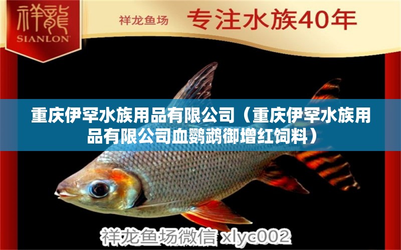 重慶伊罕水族用品有限公司（重慶伊罕水族用品有限公司血鸚鵡御增紅飼料） 鸚鵡魚