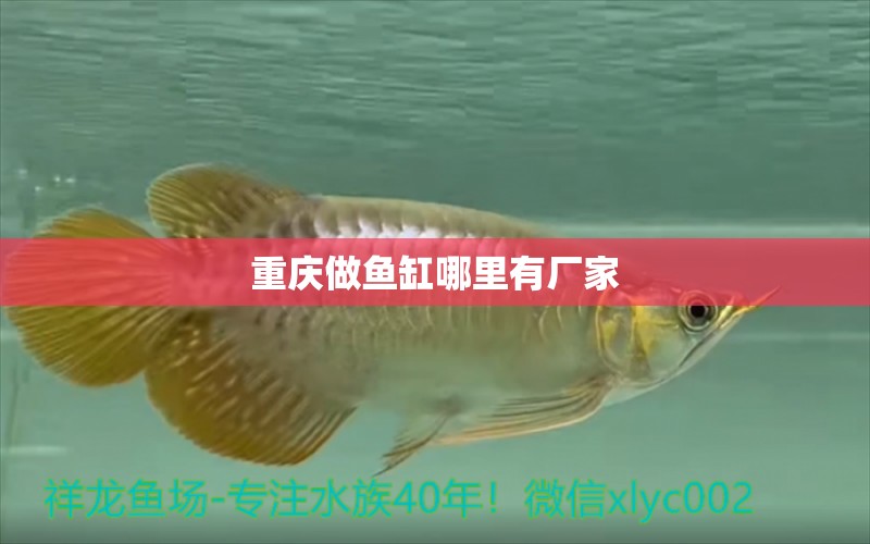 重慶做魚缸哪里有廠家 其他品牌魚缸