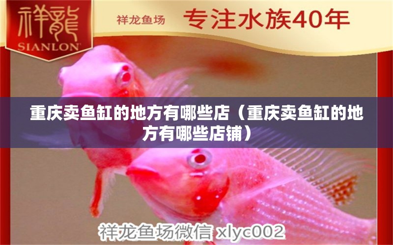 重慶賣魚缸的地方有哪些店（重慶賣魚缸的地方有哪些店鋪） 印尼四紋虎