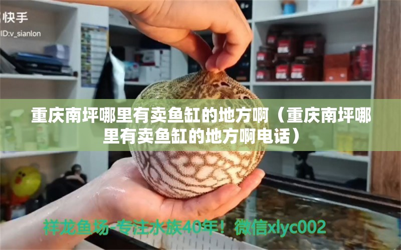 重慶南坪哪里有賣魚缸的地方?。ㄖ貞c南坪哪里有賣魚缸的地方啊電話）