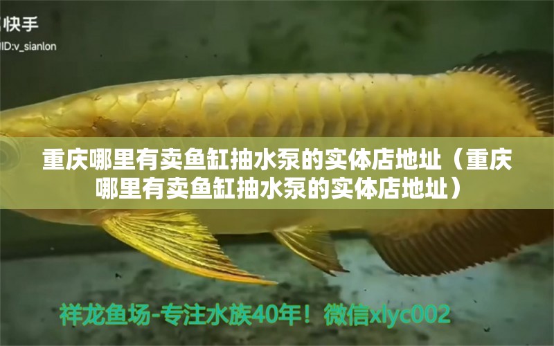 重慶哪里有賣(mài)魚(yú)缸抽水泵的實(shí)體店地址（重慶哪里有賣(mài)魚(yú)缸抽水泵的實(shí)體店地址） 祥龍水族醫(yī)院