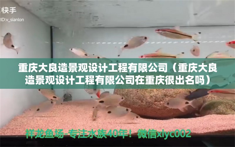 重慶大良造景觀設計工程有限公司（重慶大良造景觀設計工程有限公司在重慶很出名嗎） 廣州景觀設計 第1張