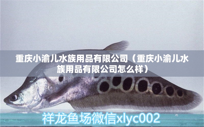 重慶小渝兒水族用品有限公司（重慶小渝兒水族用品有限公司怎么樣）