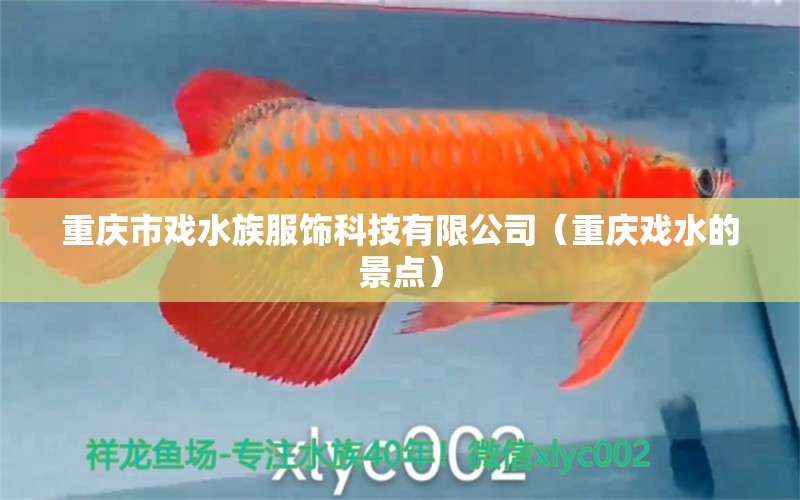 重慶市戲水族服飾科技有限公司（重慶戲水的景點(diǎn)）