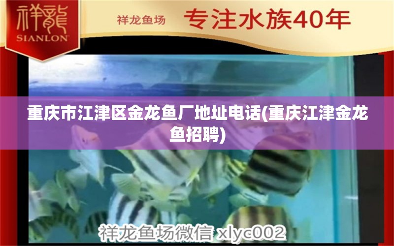 重慶市江津區(qū)金龍魚廠地址電話(重慶江津金龍魚招聘)