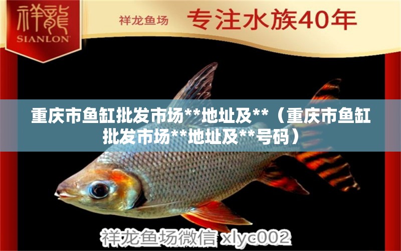 重慶市魚(yú)缸批發(fā)市場(chǎng)**地址及**（重慶市魚(yú)缸批發(fā)市場(chǎng)**地址及**號(hào)碼） 泰龐海鰱魚(yú)