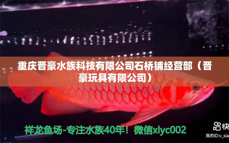 重慶晉豪水族科技有限公司石橋鋪經(jīng)營部（晉豪玩具有限公司）