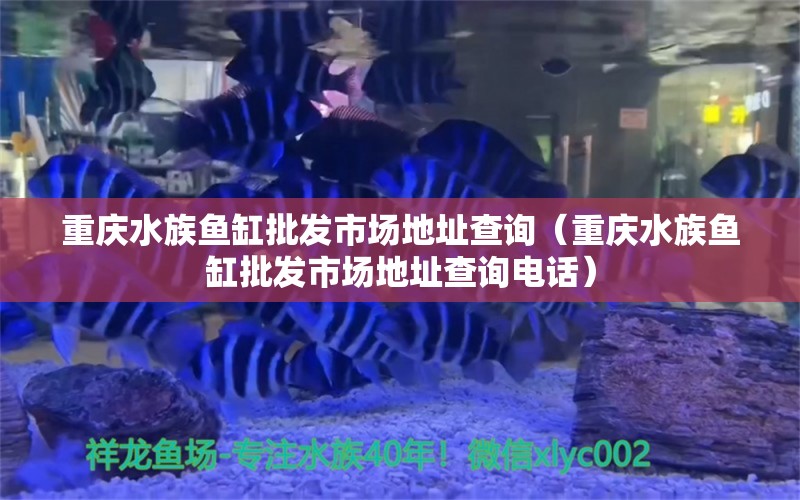 重慶水族魚缸批發(fā)市場(chǎng)地址查詢（重慶水族魚缸批發(fā)市場(chǎng)地址查詢電話）