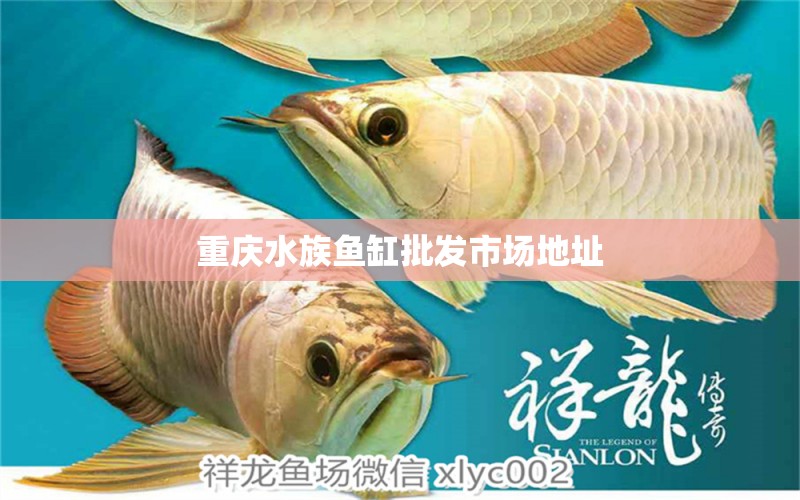 重慶水族魚缸批發(fā)市場(chǎng)地址