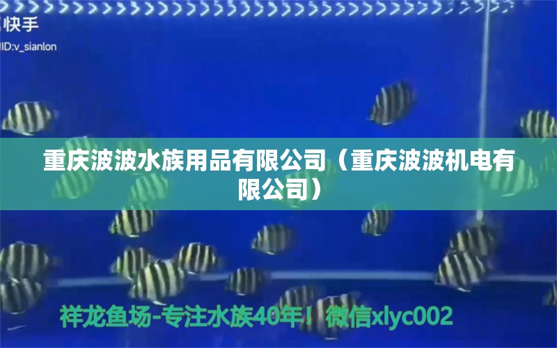 重慶波波水族用品有限公司（重慶波波機電有限公司）