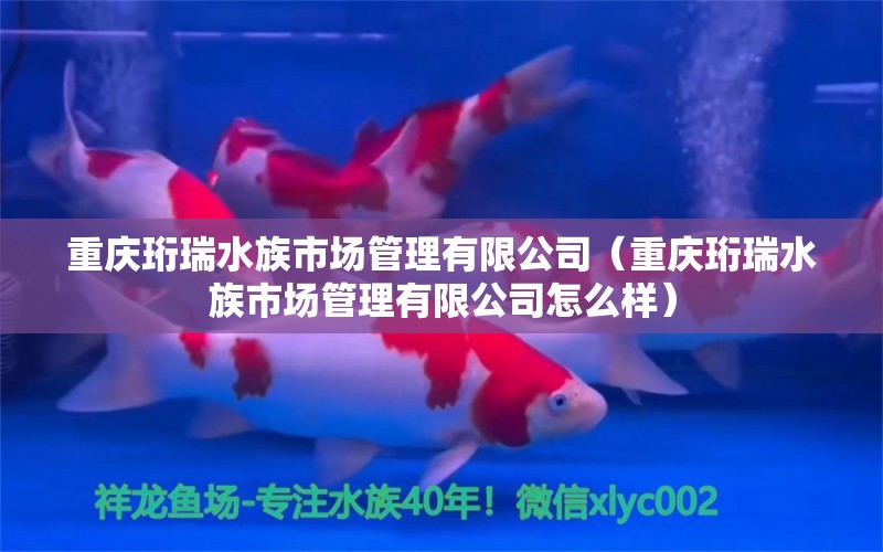 重慶珩瑞水族市場(chǎng)管理有限公司（重慶珩瑞水族市場(chǎng)管理有限公司怎么樣） 全國水族館企業(yè)名錄