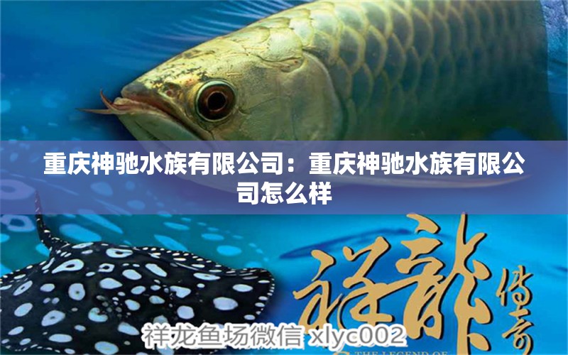 重慶神馳水族有限公司：重慶神馳水族有限公司怎么樣 全國水族館企業(yè)名錄