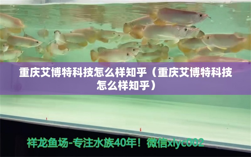 重慶艾博特科技怎么樣知乎（重慶艾博特科技怎么樣知乎）