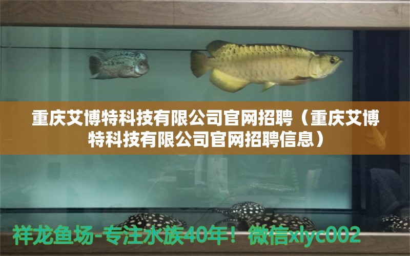 重慶艾博特科技有限公司官網(wǎng)招聘（重慶艾博特科技有限公司官網(wǎng)招聘信息）