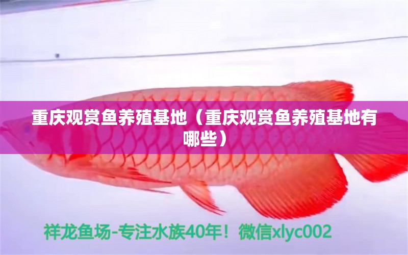 重慶觀賞魚養(yǎng)殖基地（重慶觀賞魚養(yǎng)殖基地有哪些）