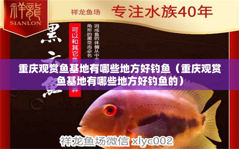 重慶觀賞魚基地有哪些地方好釣魚（重慶觀賞魚基地有哪些地方好釣魚的）