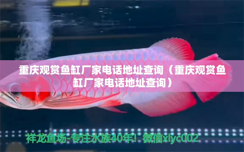 重慶觀賞魚缸廠家電話地址查詢（重慶觀賞魚缸廠家電話地址查詢）