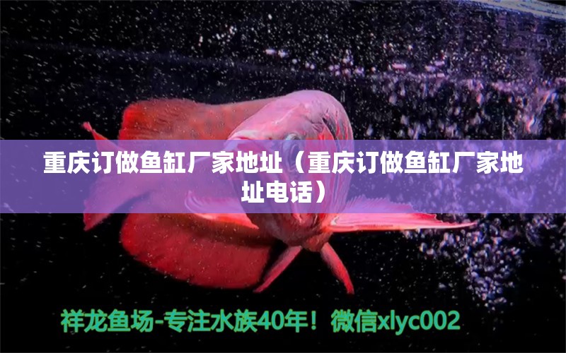 重慶訂做魚缸廠家地址（重慶訂做魚缸廠家地址電話）