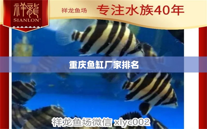 重慶魚缸廠家排名