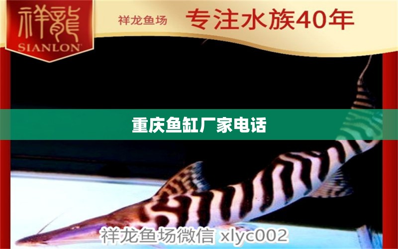 重慶魚缸廠家電話 其他品牌魚缸