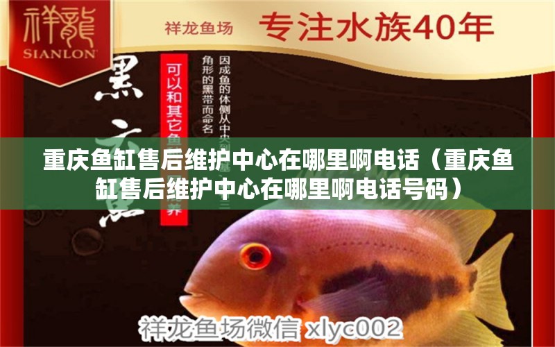 重慶魚(yú)缸售后維護(hù)中心在哪里啊電話（重慶魚(yú)缸售后維護(hù)中心在哪里啊電話號(hào)碼）