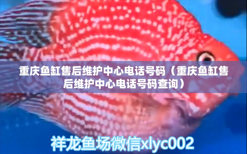 重慶魚(yú)缸售后維護(hù)中心電話(huà)號(hào)碼（重慶魚(yú)缸售后維護(hù)中心電話(huà)號(hào)碼查詢(xún)）