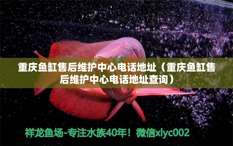 重慶魚缸售后維護中心電話地址（重慶魚缸售后維護中心電話地址查詢）