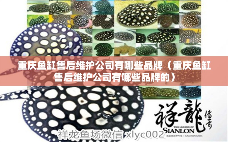 重慶魚(yú)缸售后維護(hù)公司有哪些品牌（重慶魚(yú)缸售后維護(hù)公司有哪些品牌的）