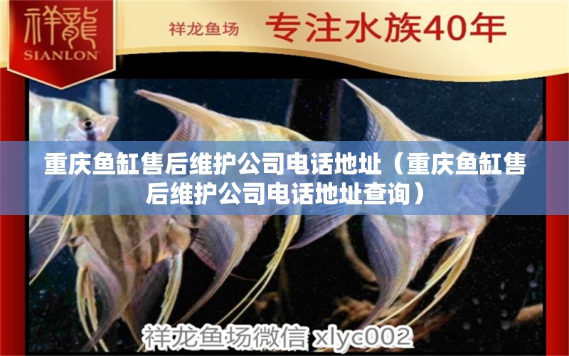 重慶魚(yú)缸售后維護(hù)公司電話地址（重慶魚(yú)缸售后維護(hù)公司電話地址查詢）