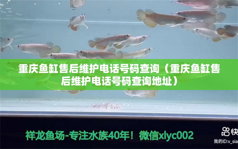 重慶魚(yú)缸售后維護(hù)電話號(hào)碼查詢（重慶魚(yú)缸售后維護(hù)電話號(hào)碼查詢地址）