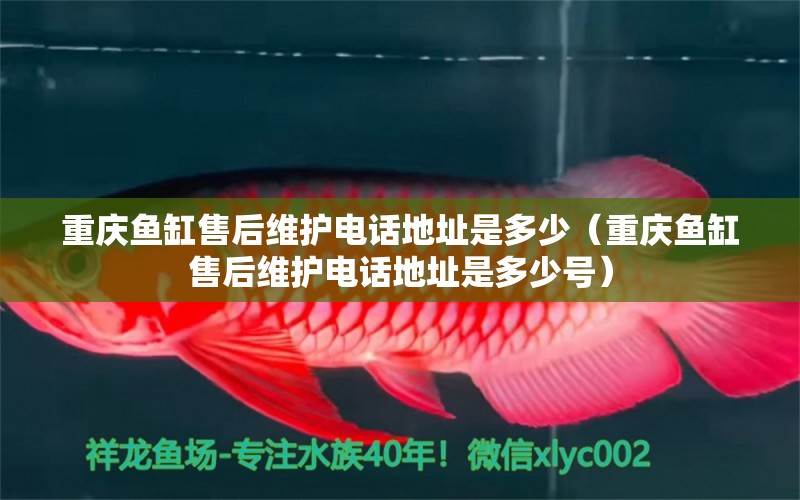 重慶魚(yú)缸售后維護(hù)電話(huà)地址是多少（重慶魚(yú)缸售后維護(hù)電話(huà)地址是多少號(hào)）