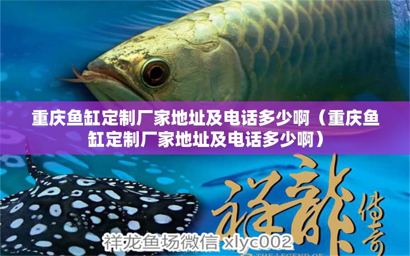 重慶魚缸定制廠家地址及電話多少?。ㄖ貞c魚缸定制廠家地址及電話多少?。? title=