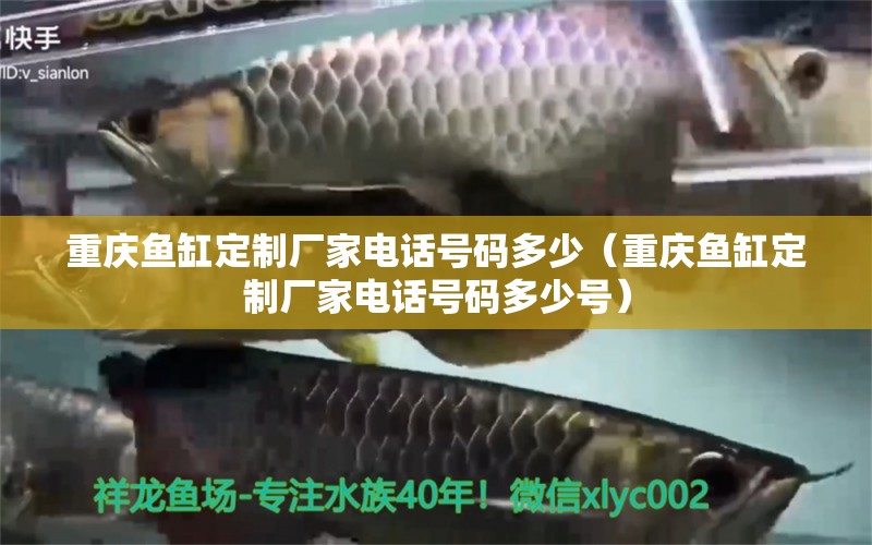 重慶魚缸定制廠家電話號碼多少（重慶魚缸定制廠家電話號碼多少號） 其他品牌魚缸