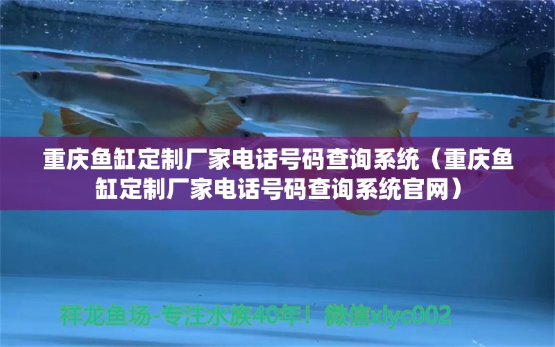 重慶魚缸定制廠家電話號(hào)碼查詢系統(tǒng)（重慶魚缸定制廠家電話號(hào)碼查詢系統(tǒng)官網(wǎng)）