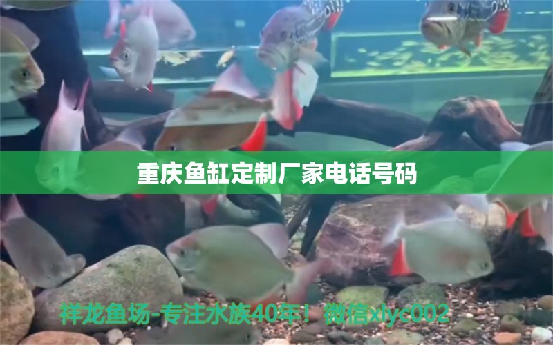 重慶魚缸定制廠家電話號碼 其他品牌魚缸