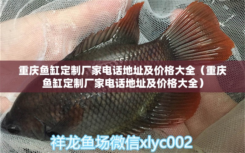 重慶魚缸定制廠家電話地址及價格大全（重慶魚缸定制廠家電話地址及價格大全） 虎斑恐龍魚