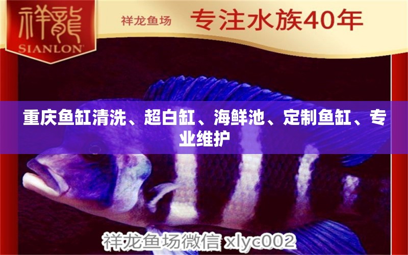 重慶魚缸清洗、超白缸、海鮮池、定制魚缸、專業(yè)維護 其他品牌魚缸