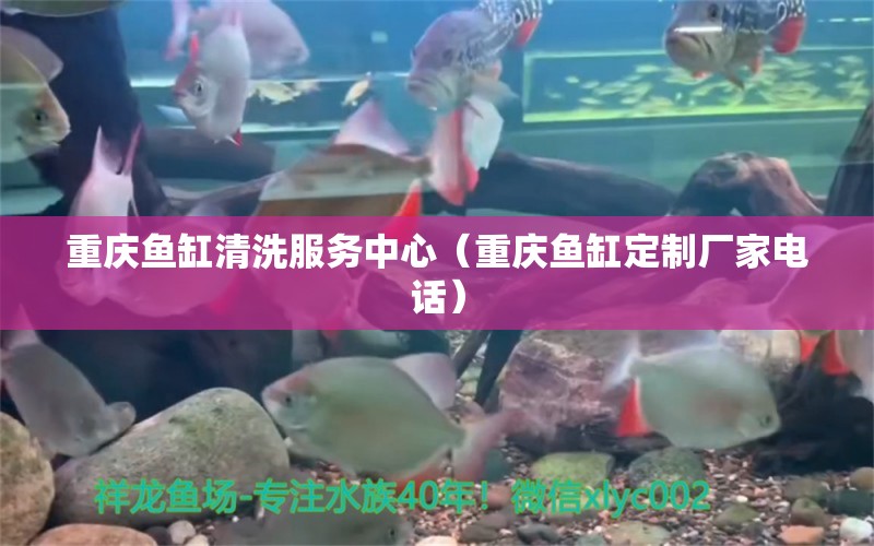 重慶魚缸清洗服務(wù)中心（重慶魚缸定制廠家電話）