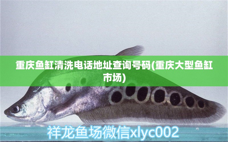 重慶魚缸清洗電話地址查詢號(hào)碼(重慶大型魚缸市場) 黑水素