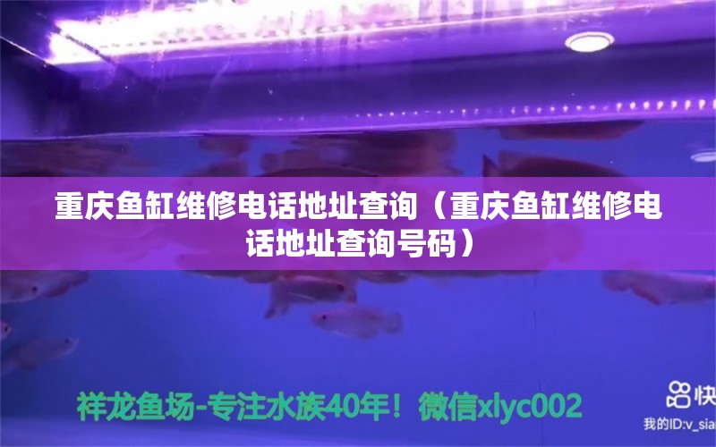 重慶魚缸維修電話地址查詢（重慶魚缸維修電話地址查詢號碼） 其他品牌魚缸