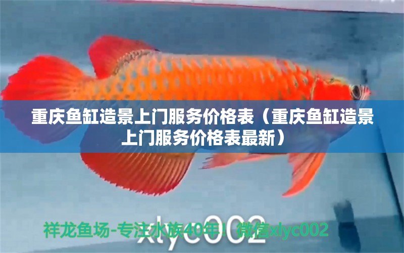 重慶魚缸造景上門服務(wù)價(jià)格表（重慶魚缸造景上門服務(wù)價(jià)格表最新） 朱巴利魚苗