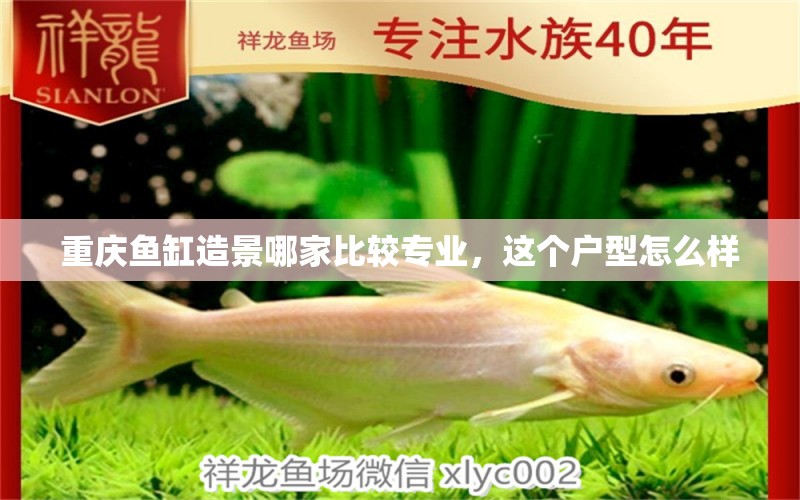 重慶魚(yú)缸造景哪家比較專業(yè)，這個(gè)戶型怎么樣