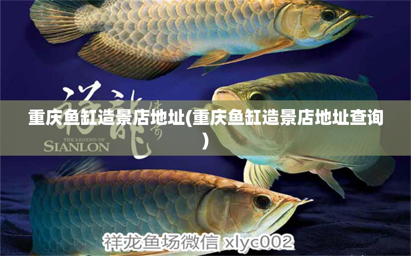 重慶魚缸造景店地址(重慶魚缸造景店地址查詢) 觀賞魚魚苗