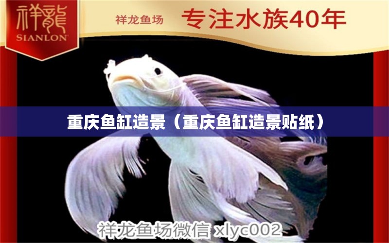 重慶魚缸造景（重慶魚缸造景貼紙） 其他品牌魚缸 第1張