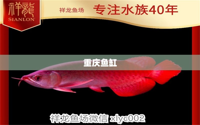 重慶魚缸