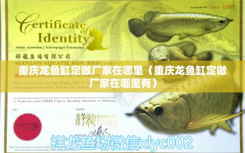 重慶龍魚缸定做廠家在哪里（重慶龍魚缸定做廠家在哪里有） 魚缸/水族箱