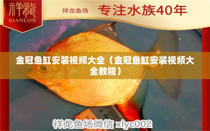 金冠魚缸安裝視頻大全（金冠魚缸安裝視頻大全教程）