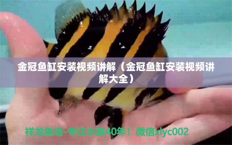 金冠魚缸安裝視頻講解（金冠魚缸安裝視頻講解大全）